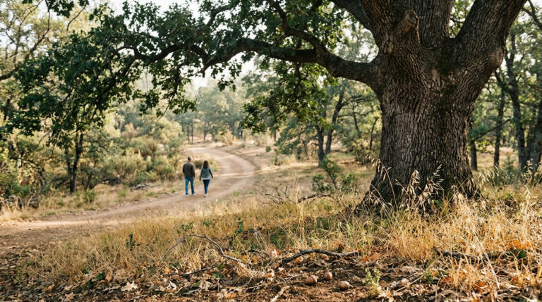 Nisenan Maidu history and living culture